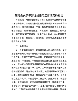 镇党委关于干部选拔任用工作情况的报告.docx