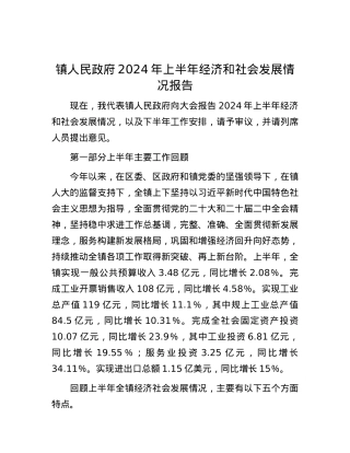 镇人民政府2024年上半年经济和社会发展情况报告.docx