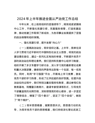 2024 年上半年推进全面从严治党工作总结.docx