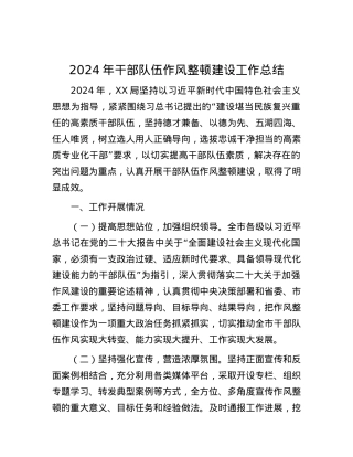 2024年干部队伍作风整顿建设工作总结.docx