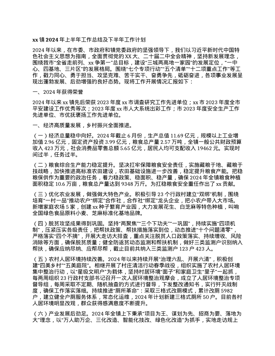xx镇2024年上半年工作总结及下半年工作计划 (2).docx_第1页