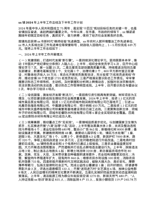 xx镇2024年上半年工作总结及下半年工作计划 (3).docx