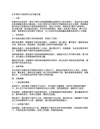 X市“青年干部培养计划”实施方案.docx