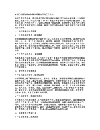 X市打击整治养老诈骗专项整治行动工作总结.docx