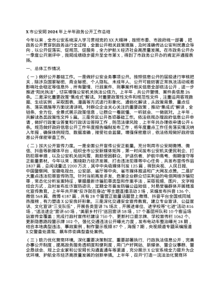X市公安局2024年上半年政务公开工作总结.docx