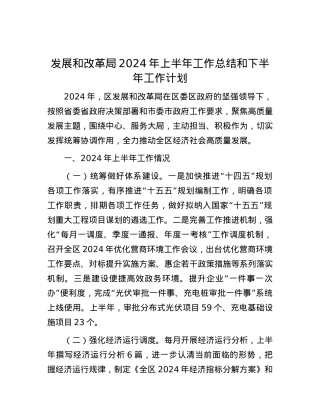 发展和改革局2024年上半年工作总结和下半年工作计划.docx