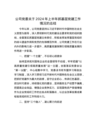 公司党委关于2024年上半年抓基层党建工作情况的总结.docx