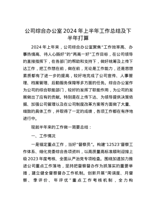 公司综合办公室2024年上半年工作总结及下半年打算.docx
