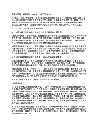 国家统计局XX调查队2024年上半年工作总结.docx