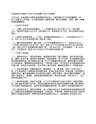 华宝皮革产业园区上半年工作总结暨下半年工作思路.docx