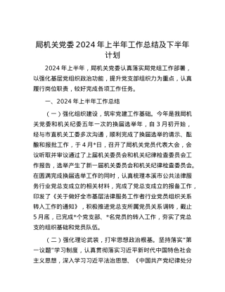 局机关党委2024年上半年工作总结及下半年计划.docx