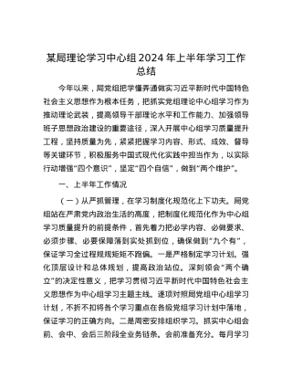 某局理论学习中心组2024年上半年学习工作总结.docx