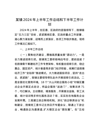 某镇2024年上半年工作总结和下半年工作计划.docx