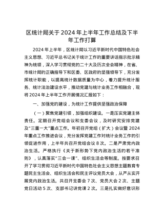 区统计局关于2024年上半年工作总结及下半年工作打算.docx