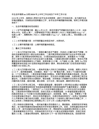 市生态环境局xx分局2024年上半年工作总结及下半年工作计划.docx