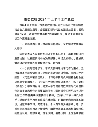 市委党校2024年上半年工作总结.docx