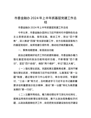 市委金融办2024年上半年抓基层党建工作总结.docx