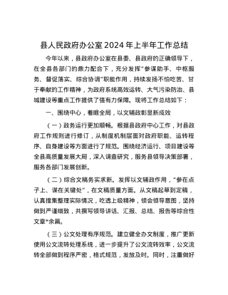 县人民政府办公室2024年上半年工作总结.docx