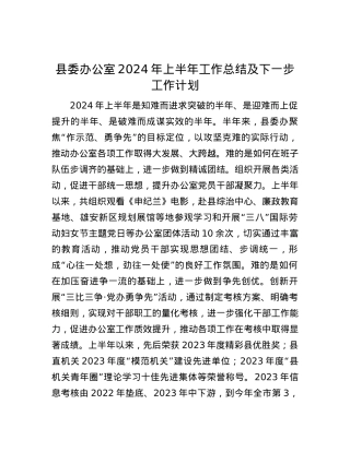 县委办公室2024年上半年工作总结及下一步工作计划.docx