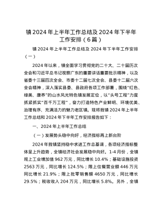 镇2024年上半年工作总结及2024年下半年工作安排（6篇）.docx