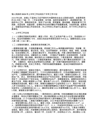 镇人民政府2024年上半年工作总结及下半年工作计划.docx
