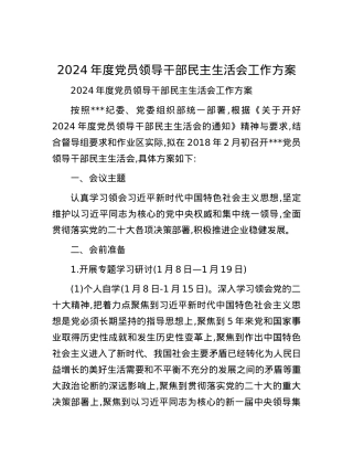 2024年度党员领导干部民主生活会工作方案.docx