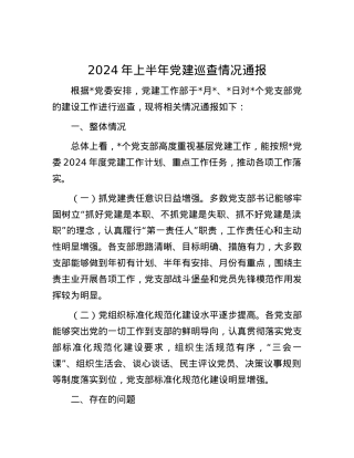 2024年上半年党建巡查情况通报.docx