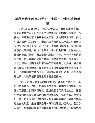 基层党员干部学习党的二十届三中全会精神感悟.docx