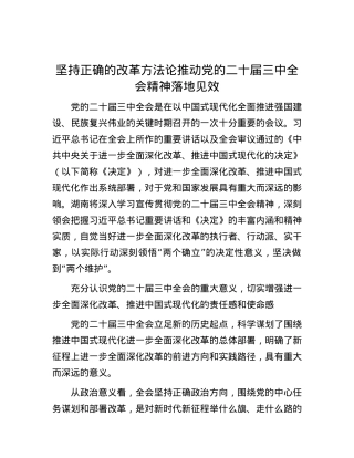 坚持正确的改革方法论推动党的二十届三中全会精神落地见效.docx