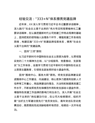 经验交流：“333+N”体系擦亮党建品牌.docx