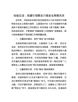 经验交流：党建引领聚合力  银发生辉展风采.docx