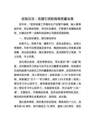 经验交流：党建引领助推高质量发展.docx