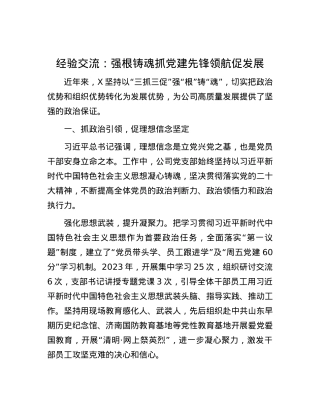 经验交流：强根铸魂抓党建 先锋领航促发展.docx