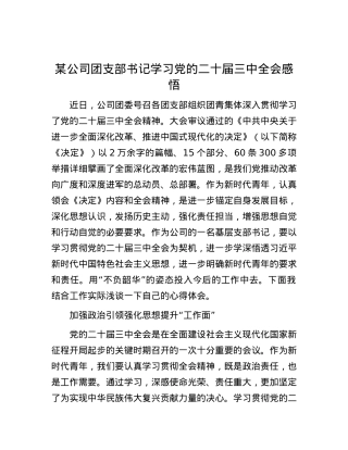 某公司团支部书记学习党的二十届三中全会感悟.docx