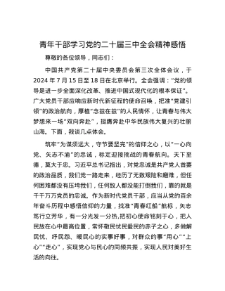 青年干部学习党的二十届三中全会精神感悟.docx