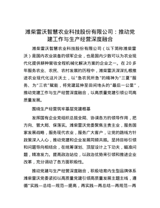 潍柴雷沃智慧农业科技股份有限公司：推动党建工作与生产经营深度融合.docx