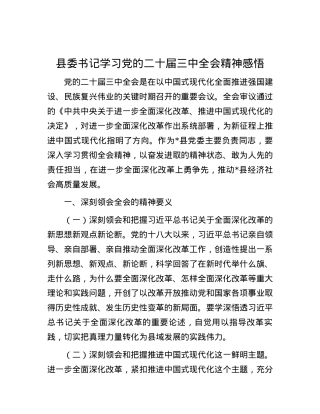 县委书记学习党的二十届三中全会精神感悟.docx