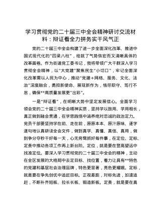学习贯彻党的二十届三中全会精神研讨交流材料：辩证看 全力拼 务实干 风气正.docx