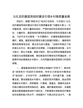 以扎实的基层党组织建设引领乡村高质量发展.docx