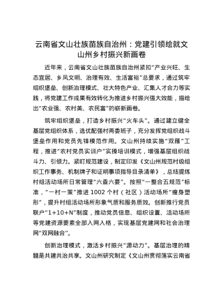云南省文山壮族苗族自治州：党建引领绘就文山州乡村振兴新画卷.docx