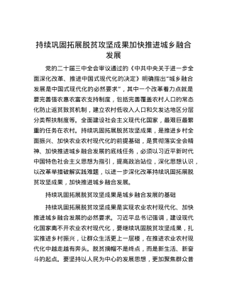 持续巩固拓展脱贫攻坚成果加快推进城乡融合发展.docx