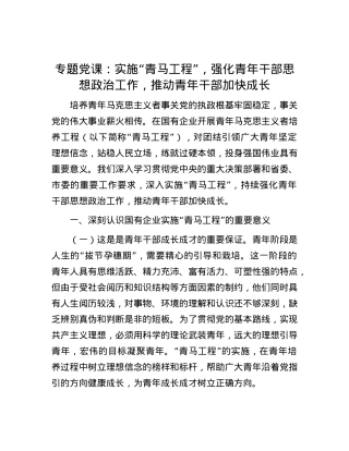 专题党课：实施“青马工程”，强化青年干部思想政治工作，推动青年干部加快成长.docx