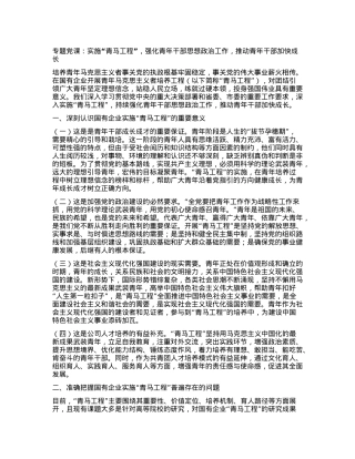 专题党课：实施青马工程，强化青年干部思想政治工作，推动青年干部加快成.docx