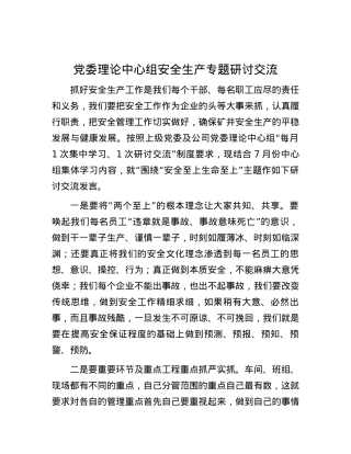 党委理论中心组安全生产专题研讨交流.docx
