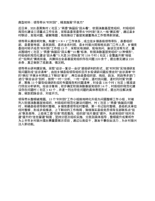 典型材料：领导带头“村村到”，精准施策  “开良方”.docx