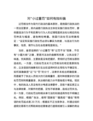 对“小过重罚”如何有效纠偏.docx