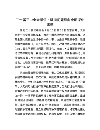 二十届三中全会感悟：坚持问题导向 全面深化改革.docx