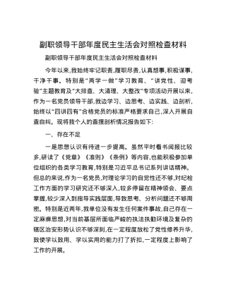 副职领导干部年度民主生活会对照检查材料.docx