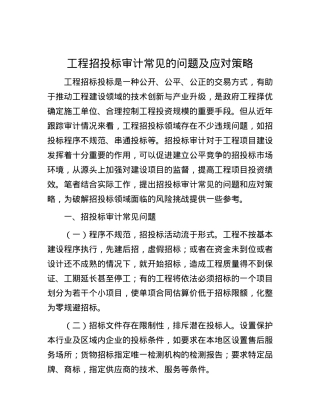 工程招投标审计常见的问题及应对策略.docx