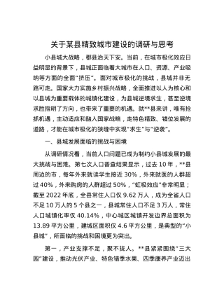 关于某县精致城市建设的调研与思考.docx